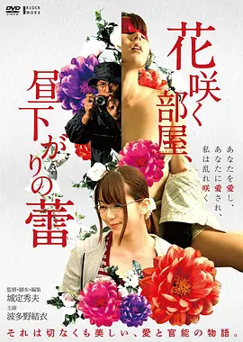蜜桃影视 长夏未晚 文艺爱情电影海报